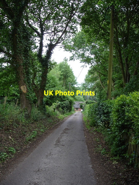Photo 6"x4" Narrow wooded lane. Lilyvale\/TR0839 c2007