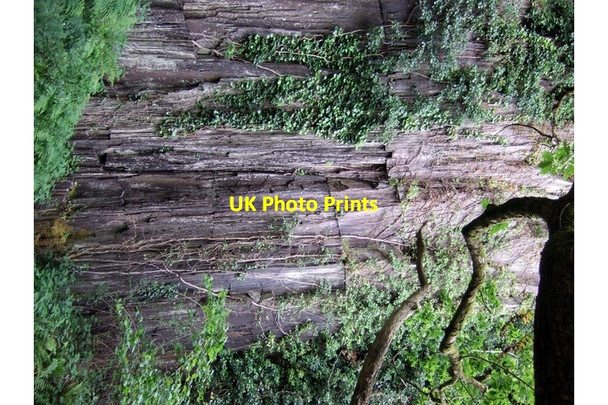 Photo 6"x4" Old slate quarry in Teifi gorge Bridgend\/SN1745 c2007