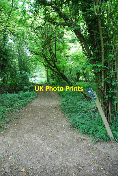 Photo 6"x4" Bridleway leaving Monarch's Way Dinton\/SU0131 c2007