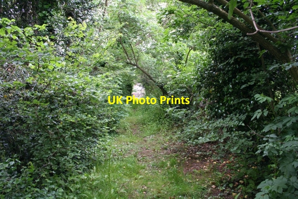 Photo 6"x4" Footpath - Once the Road to Welland Marl Bank c2007