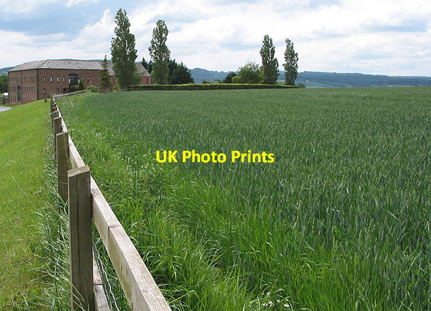 Photo 6"x4" Young wheat crop near Eccleswall Barns Bromsash c2007