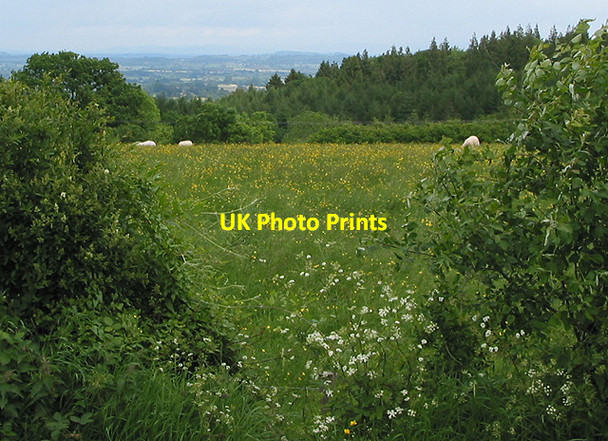 Photo 6"x4" Grazing land from May Hill Village Ganders Green c2007
