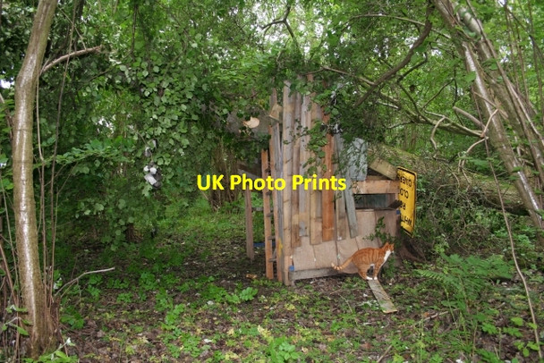 Photo 6"x4" The Wrath of Nature Upper Welland c2007