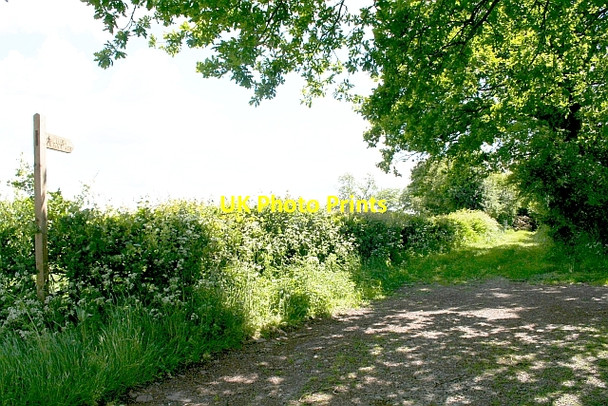 Photo 6"x4" Perthi-bach Lane Rowlestone c2007