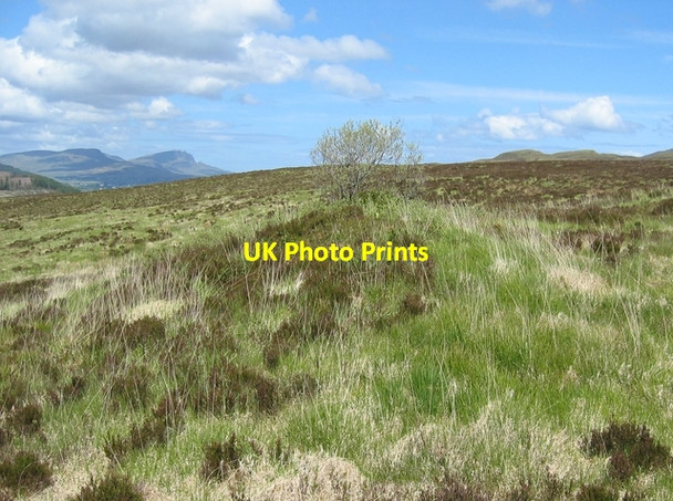 Photo 6"x4" Homestead in Glen Varragill Conordan c2007