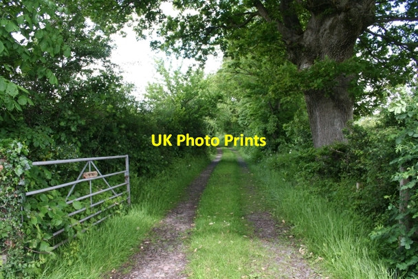 Photo 6"x4" Track to Pen-y-waun Llanveynoe c2007
