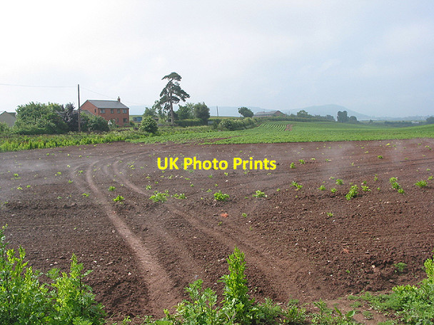 Photo 6"x4" Gatsford Farm and steamed potatoes Ross-on-Wye c2007