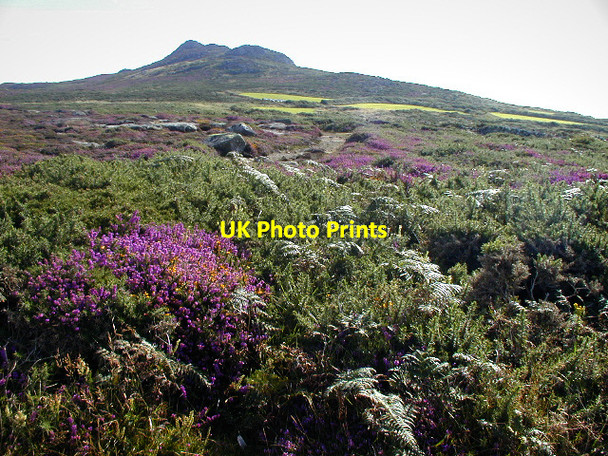 Photo 6"x4" Carn Llidi from the coast path Treleddyd-fawr c2002