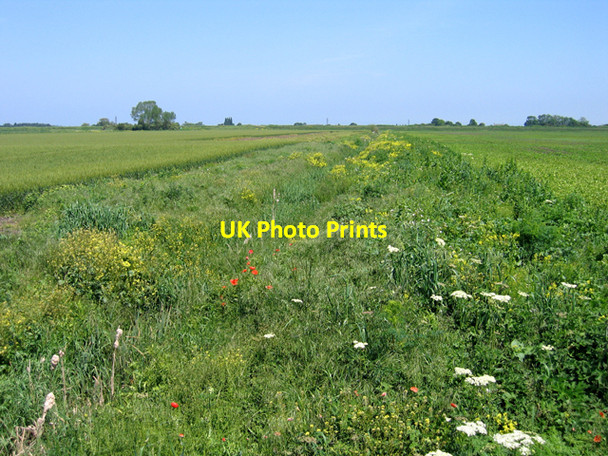 Photo 6"x4" Conservation ditch, Bourne South Fen, Lincs Bourne\/TF0920 c2007