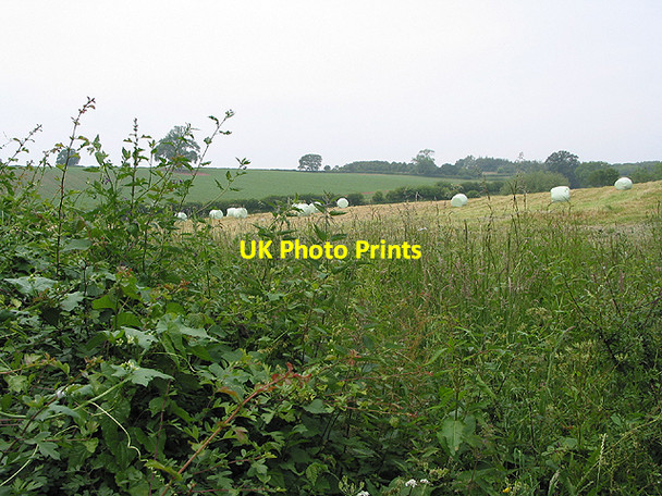 Photo 6"x4" Grow your very own green cheese in Upton Crews Upton Crews c2007