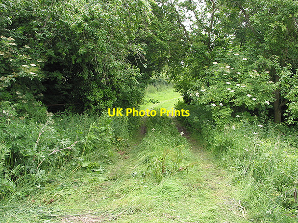 Photo 6"x4" Grassy farm track in Upton Crews Upton Crews c2007