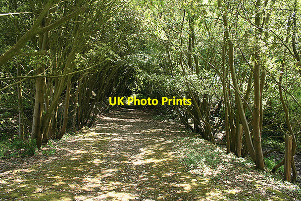 Photo 6"x4" Yealmpton: course of railway Bridgend\/SX5548 c2007