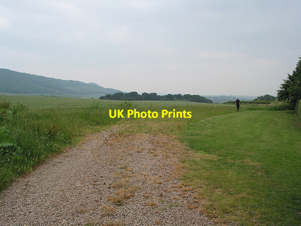 Photo 6"x4" Small wood near Kingstone Ross-on-Wye c2007