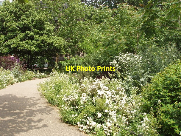 Photo 6"x4" Russell Square Garden London c2007