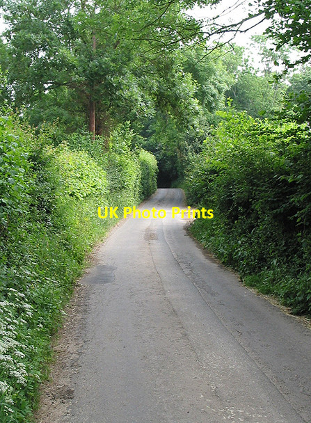 Photo 6"x4" Country road, near Gorsley Common Gorsley Common c2007 P1