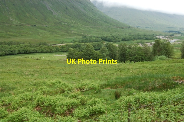 Photo 6"x4" Glen of the Allt Coire Chailein Bridge of Orchy c2007