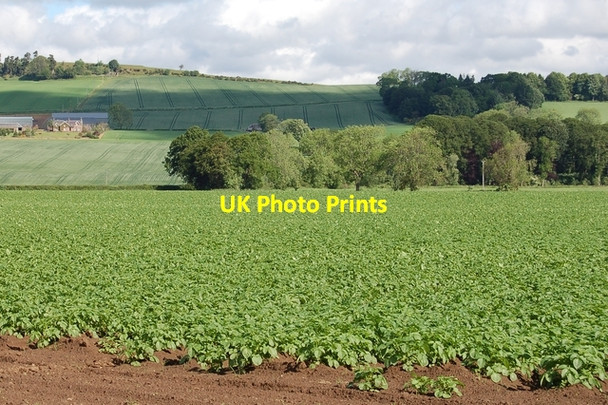 Photo 6"x4" Easter Drumatherty Kirkton of Lethendy c2007