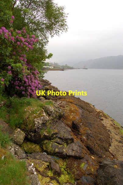 Photo 6"x4" Shoreline of Loch Long Portincaple c2007