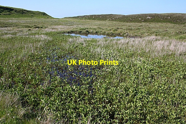 Photo 6"x4" Moorland Pool Ballycastle\/D1140 c2007