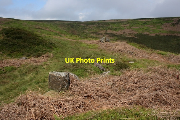 Photo 6"x4" Great Ayton Moor Hutton Village c2007