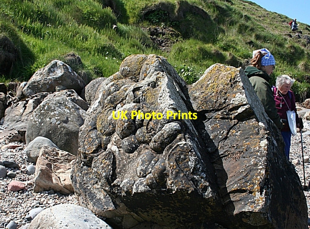 Photo 6"x4" Sole Marks Ballycastle\/D1140 c2007