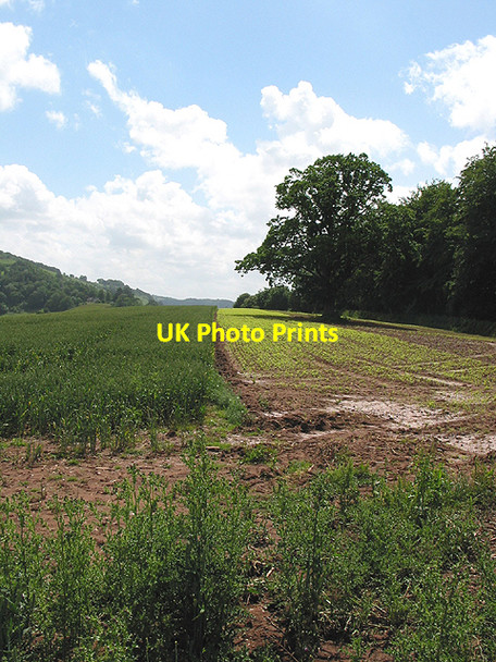 Photo 6"x4" Farmland near Goodrich Castle Goodrich c2007