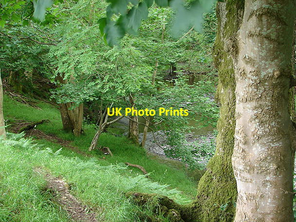 Photo 6"x4" Afon Gwydol Abercegir c2007