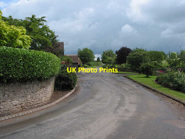 Photo 6"x4" Road to Fawley Cross Ballingham c2007