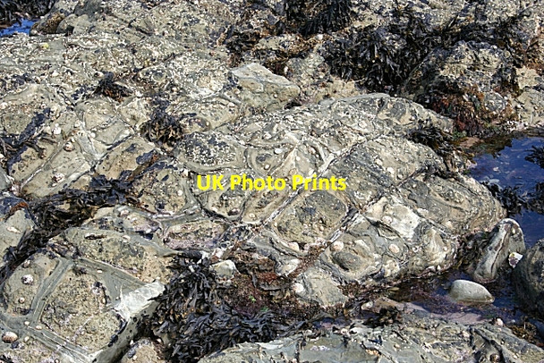 Photo 6"x4" Synaeresis Cracks Larne c2007