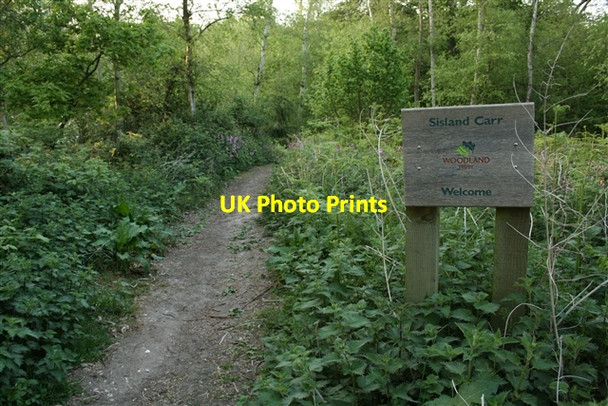Photo 6"x4" Entrance to Sisland Carr Sisland c2007