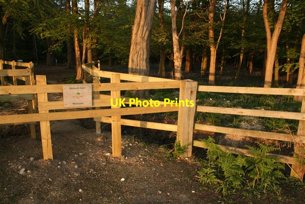Photo 6"x4" Gate, Sisland Carr Sisland c2007