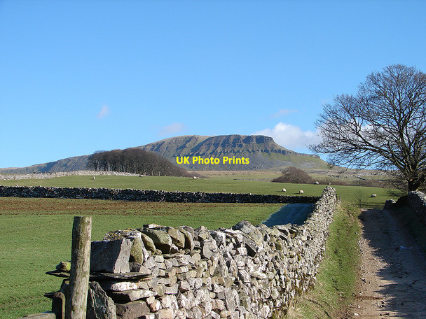 Photo 6"x4" The Pennine Way path to Pen-y-ghent Brackenbottom c2007