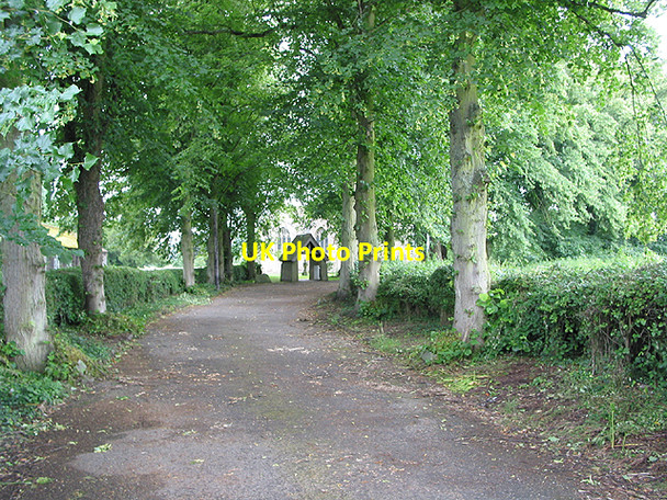 Photo 6"x4" The Road of Remembrance, Walford church Walford\/SO5820 c2007