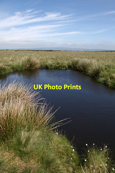 Photo 6"x4" Small pond on Wheelton Moor Brinscall c2007