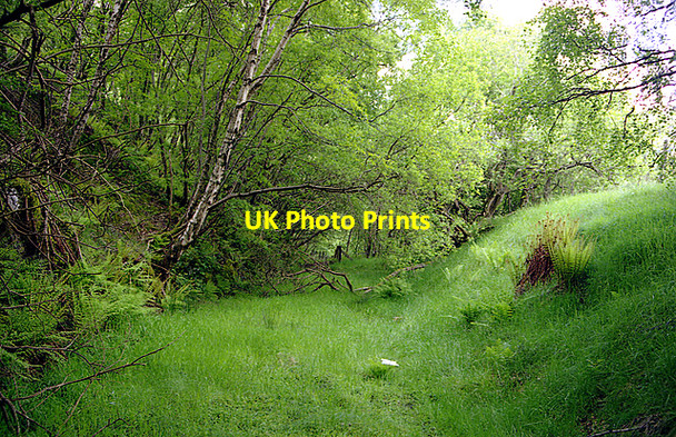 Photo 6"x4" Mid-Wales Railway trackbed at Pont Marteg Nantserth c2000