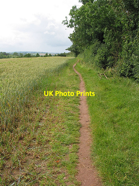 Photo 6"x4" Footpath near Archenfield Ross-on-Wye c2007