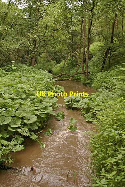 Photo 6"x4" Alum House Brook in flood Hoghton Bottoms c2007