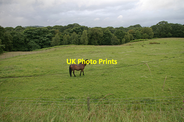 Photo 6"x4" Field by the Leeds Liverpool canal Feniscowles\/SD6425 c2007