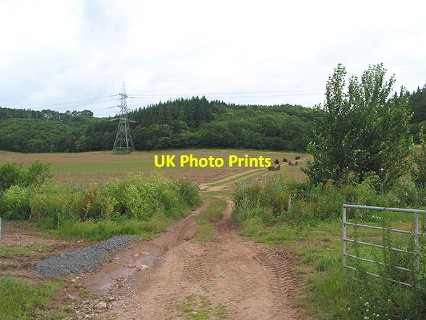 Photo 6"x4" Farm track near Coleraine Farm Coughton\/SO5921 c2007
