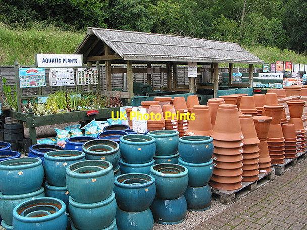 Photo 6"x4" Pot display at garden centre Huntley\/SO7219 c2007