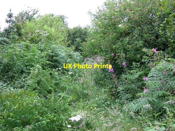 Photo 6"x4" Argoed Isha Quarry Footpath City\/SS9878 c2007