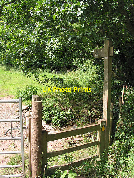 Photo 6"x4" Footpath crosses the stream, Aston Ingham Aston Ingham c2007