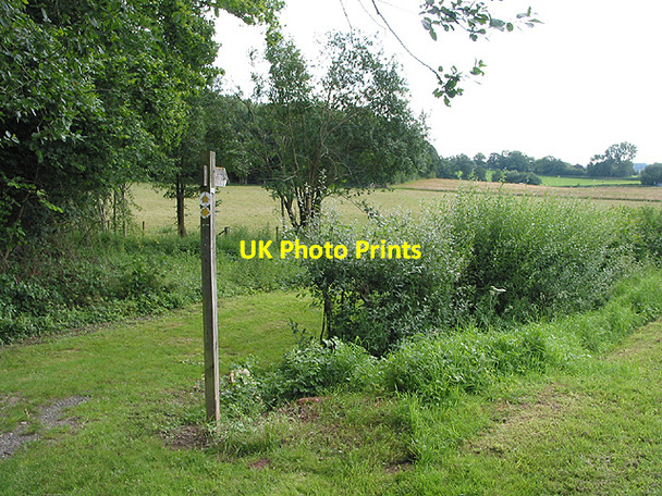 Photo 6"x4" Footpath near Reslaw Wood Boulsdon c2007