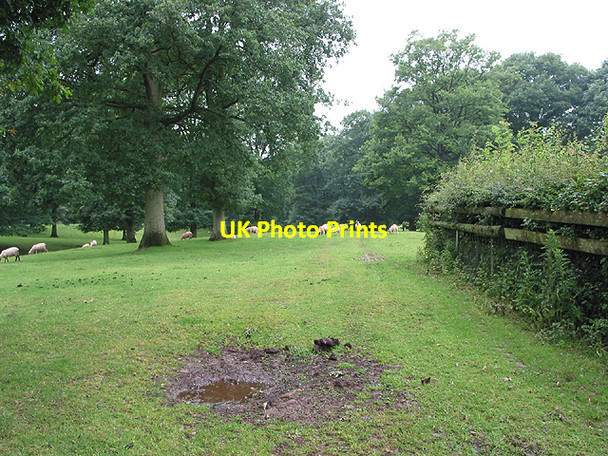 Photo 6"x4" Grazing land near Beavan's Hill Beavan's Hill c2007