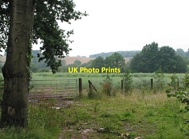 Photo 6"x4" Farmland near Aston Ingham Aston Ingham c2007