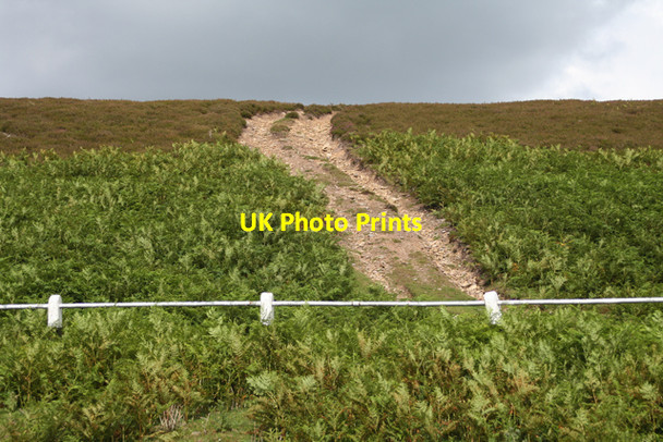 Photo 6"x4" Farmers track near Harehope Burn. Edmondbyers c2007