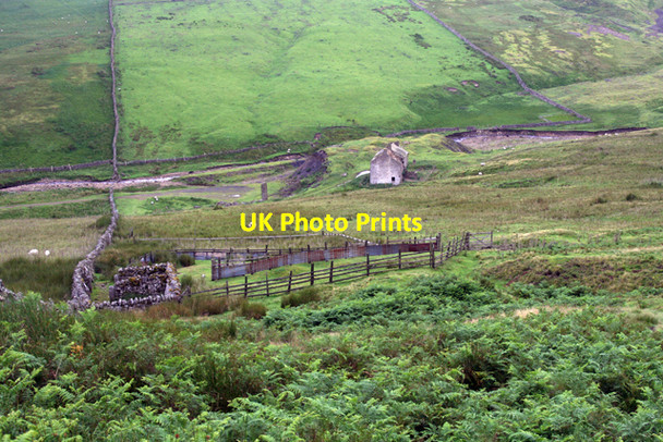 Photo 6"x4" Sheepfold at Flushiemere. Bowlees\/NY9028 c2007