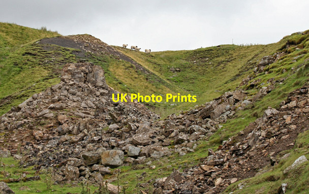 Photo 6"x4" Bales Hush Bowlees\/NY9028 c2007