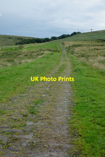 Photo 6"x4" Track to Darwen Moor Tockholes c2007