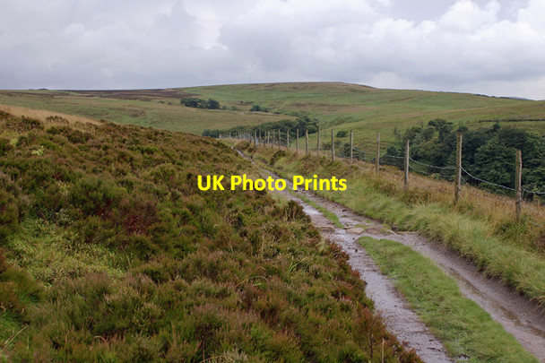 Photo 6"x4" Track on Darwen Hill Darwen c2007